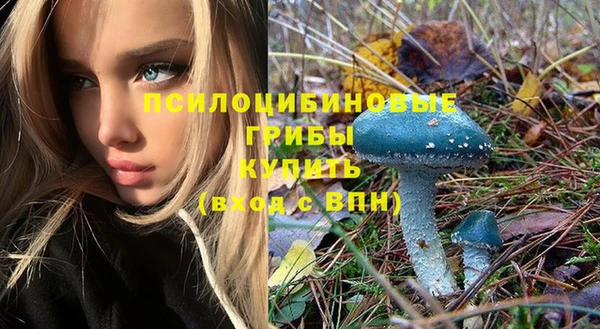 скорость Алексин